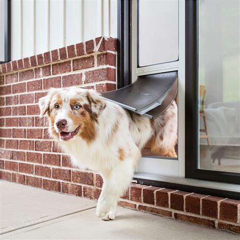 PetSafe Extreme Weather Sliding Glass Pet Door, Easy to Install ...