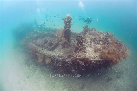 Guide to Coron Wreck Diving and Photography - PaparazSea