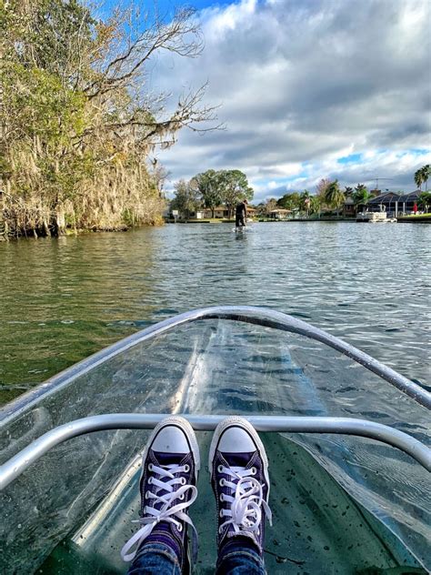 Clear Bottom Kayaking with Florida Manatees - My Little Life's Journeys