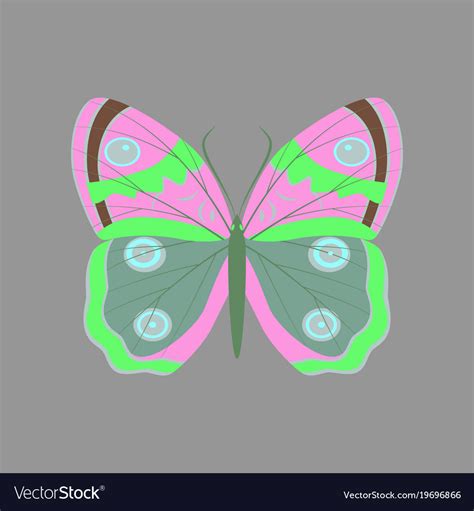 Colorful icon butterfly isolated on gray Vector Image