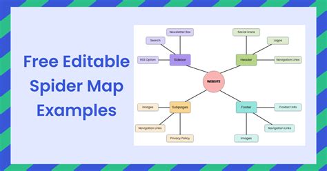 Free Editable Spider Map Examples | EdrawMax Online