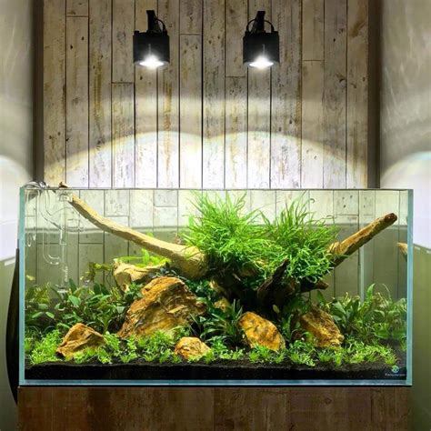 How to Adjust the Lighting for Your Fish Tank - Aquarium Lighting Guide | Fish tank, Aquarium ...