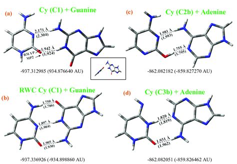 Hetero base pairs with cytosine at the B3LYP/6-31G(d,p) level: (a ...