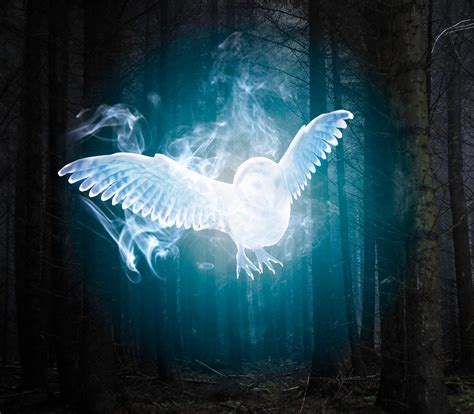 Owl Patronus PNG File for Photoshop - Etsy UK