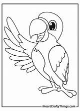 Cute Parrot Coloring Pages sketch template