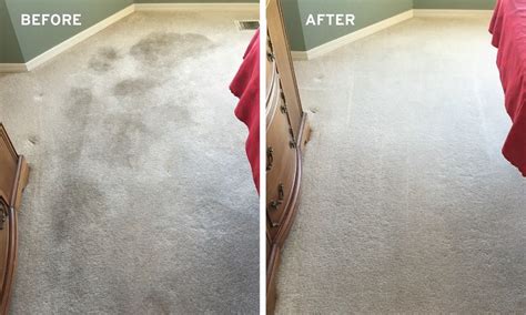 Why Carpet Smells After Carpet Cleaning & What to Do | Zerorez Carpet Cleaning