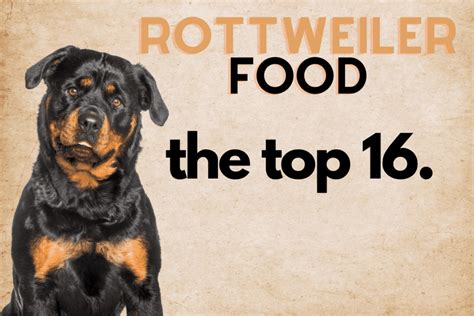 rottweiler puppy food portions - Swingeing Diary Bildergallerie