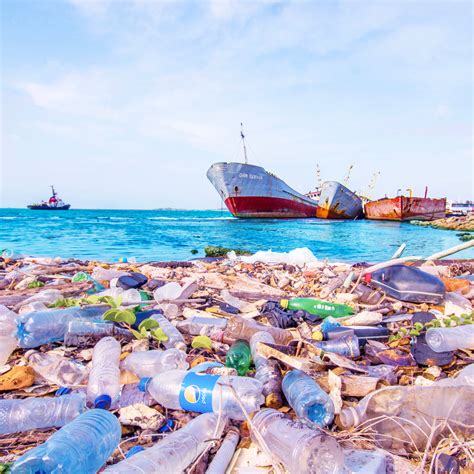 THE CONSEQUENCES OF OCEAN PLASTIC POLLUTION – ViTA World