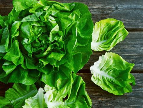 Food Find: Whole heads of lettuce | Center for Science in the Public Interest