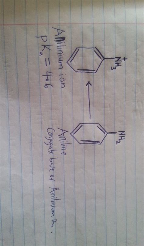 [Solved] draw the structure of protonated aniline (anilinium ion) and. It's... | Course Hero