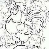 Cute And Beautiful Hens Colour Drawing HD Wallpaper Bird Coloring Pages  sketch template
