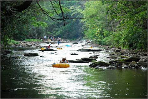 The Daily Grind: camping | davidson river