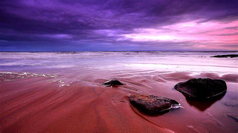 Purple Beach Wallpaper - WallpaperSafari