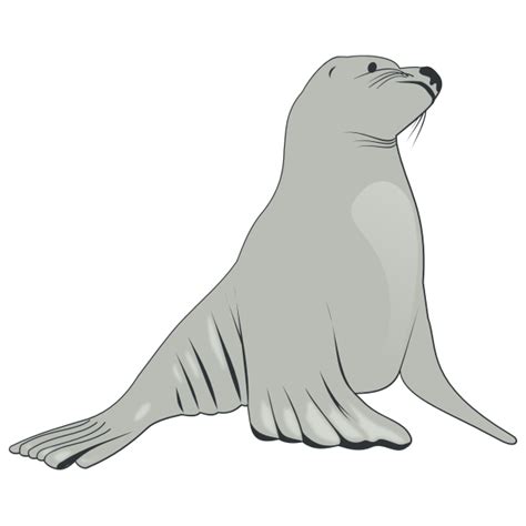 Sea lion vector image | Free SVG