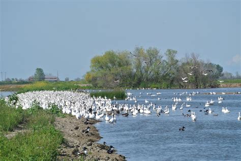 Merced Tourism (2024): All You Need to Know Before You Go