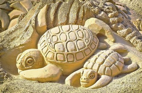 Turtle Sand Castle Sculpture on the Beach 999 Photograph by Ricardos ...