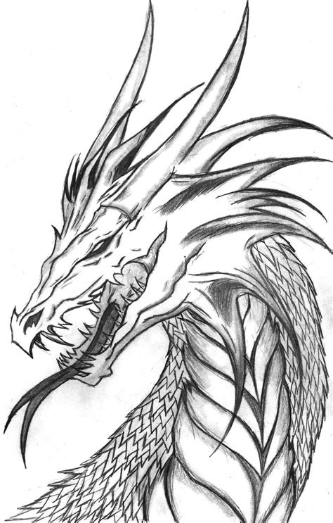 Chinese Dragon Pencil Drawings at PaintingValley.com | Explore collection of Chinese Dragon ...