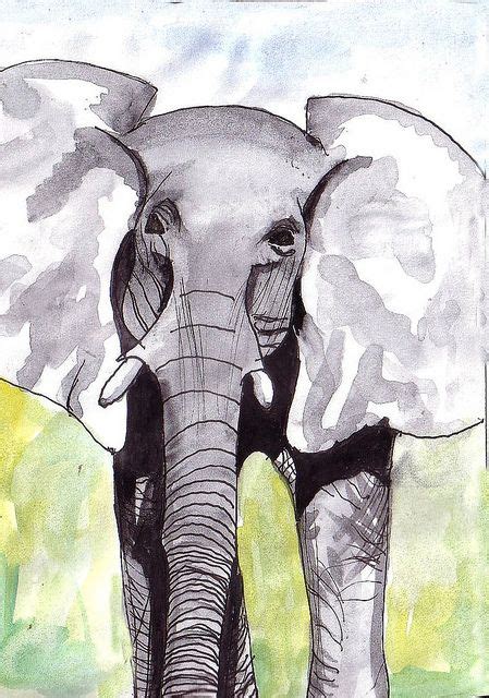 Front view of an Elepahant | Painting inspiration, Elephant skull, Dark skull