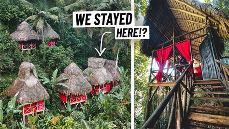 We Stayed in a Treehouse IN THE JUNGLE! Is This Dominican Republic's ...