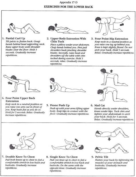 Pin on Exercises