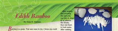 Edible Bamboo - Ke Ola Magazine