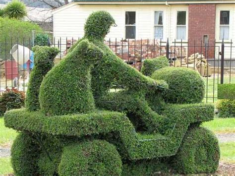 Landscape Garden tips for Topiary garden| Garden| Topiary garden ...