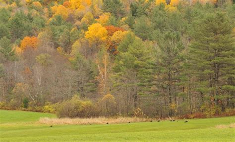 Connecticut River Valley – Airstream Time