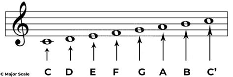 The C Major Scale - General Overview - Phamox Music