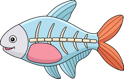 X Ray Fish Clipart X Ray Fish Clip Art Images Hdclipartall | The Best Porn Website