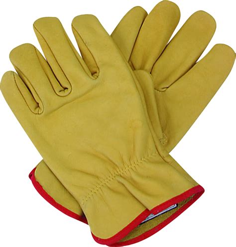 Gloves PNG