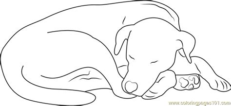 Sleeping Dog Coloring Pages