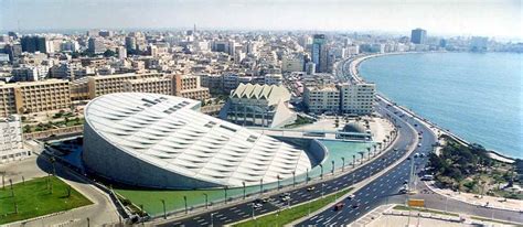 افضل 10 انشطة في مكتبة الاسكندرية الجديدة