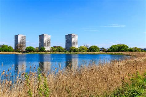 Woodberry Wetland in London Stock Photo - Image of leisure, tower: 70986582