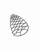 Pine Cone coloring Pages sketch template