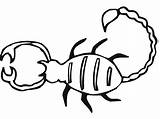 Scorpion 4 Coloring Page  Free Printable Pages For Kids sketch template