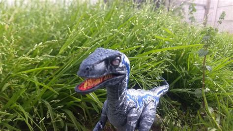 Jurassic World 12 inches Blue (Jurassic Park) Custom Action Figure