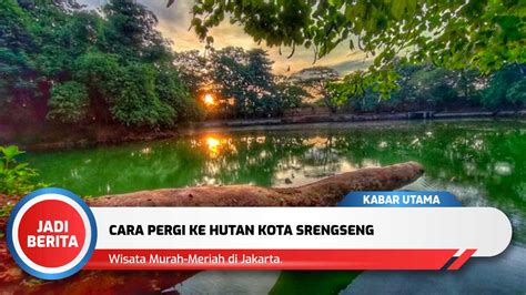 Cara Pergi ke Hutan Kota Srengseng, Wisata Murah-Meriah di Jakarta ...