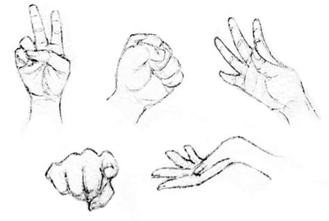 Drawing the Human Figure: The Hands - HubPages