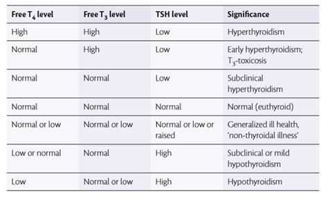 How To Increase Tsh Level - Effortbroad24