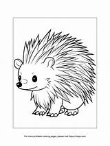 Printable Cute Porcupine Coloring Sheet · InkPx sketch template