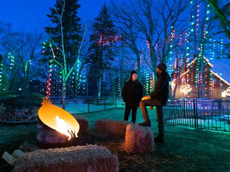 Zoo Lights | Assiniboine Park Conservancy