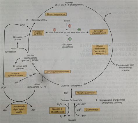 Pin de Meghana Reddy en Diagrams