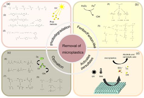 (a) Degradation pathways of microplastics during photodegradation; (1)... | Download Scientific ...