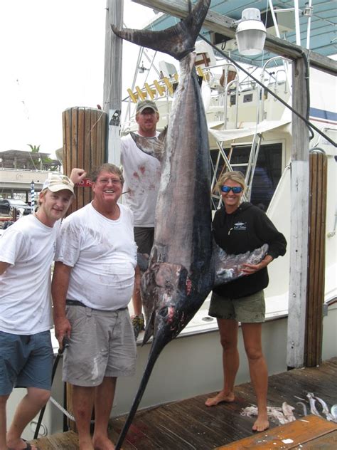 Swordfish | Fishing Headquarters