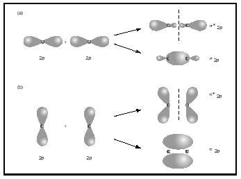 comparison of sigma and pi molecular orbitals - 7011830 | Meritnation.com