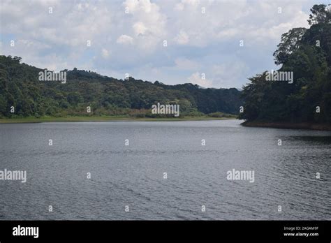 Periyar River and Wildlife Sanctuary in Kerala Stock Photo - Alamy