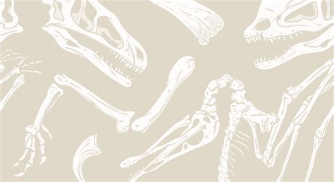 Dinosaur Skeleton Wallpapers - Wallpaper Cave