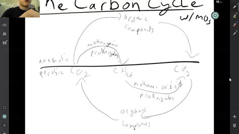 Carbon Cycle with Microorganisms - YouTube