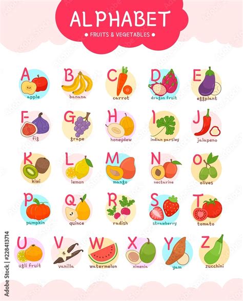 Cute english illustrated fruits and vegetables alphabet. English letters A to Z set. Learning ...