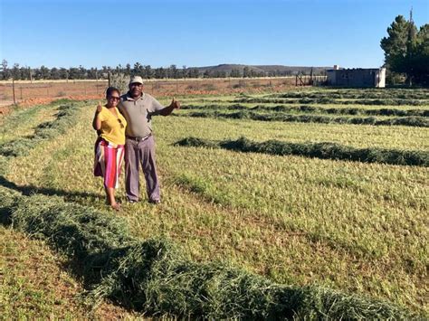 NC woman farmer harvesting success - DFA